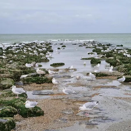 On Zeedijk With Stunning Sea Views, Cleaning Included