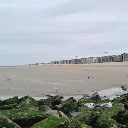 Apartment On Zeedijk With Stunning Sea Views, Cleaning Included Koksijde